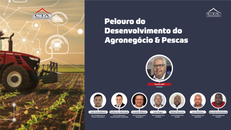 Novos-Pelouros---CTA-05