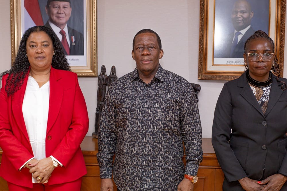 CTA REÚNE-SE COM EMBAIXADOR DE MOÇAMBIQUE NA INDONÉSIA PARA ALINAHR O PROGRAMA GERAL DA MISSÃO EMPRESARIAL